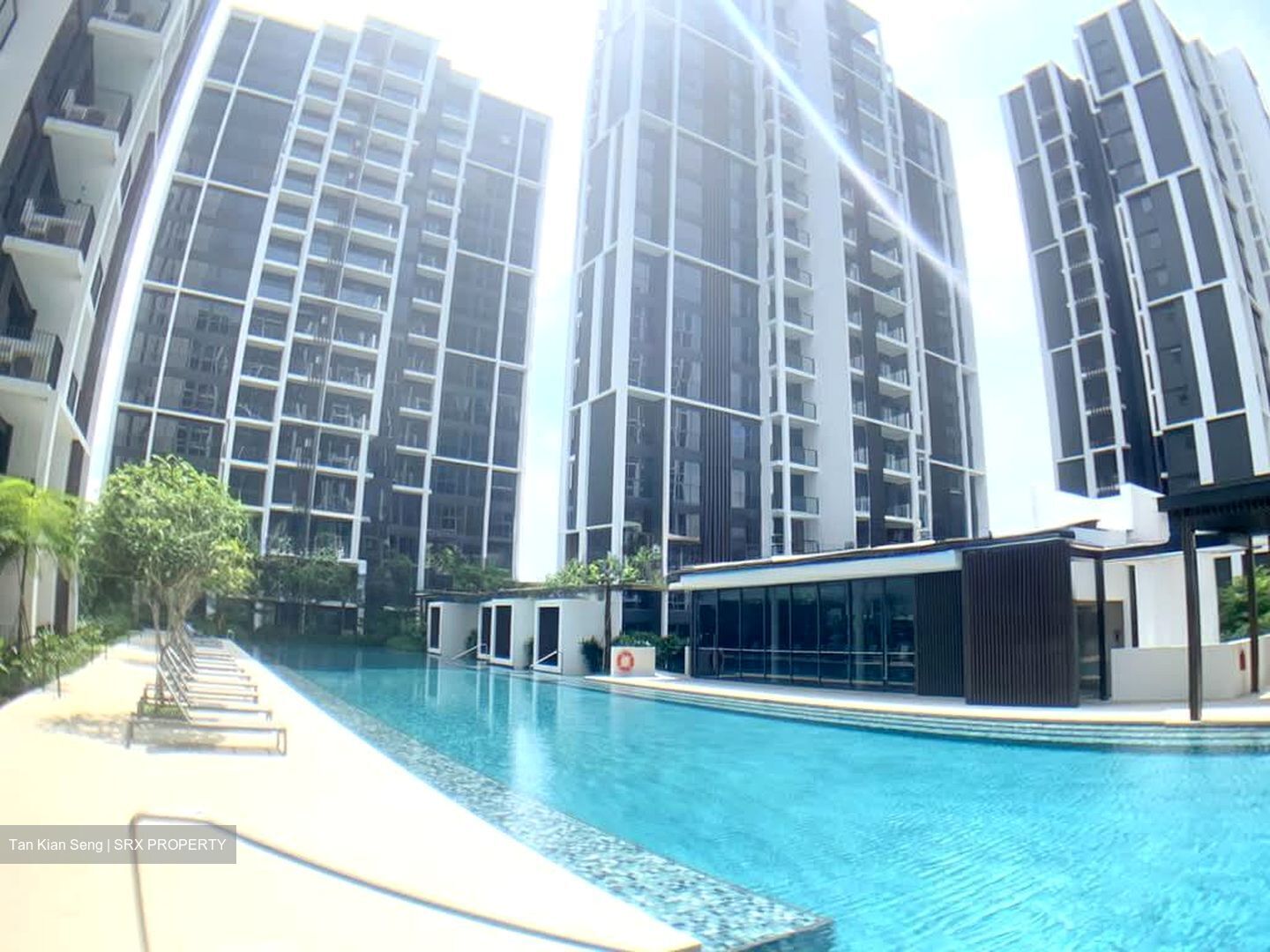 Botanique At Bartley (D19), Condominium #593661651